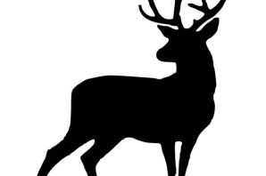 Трафарет оленя