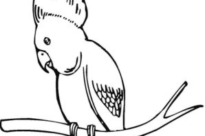 Трафарет попугай