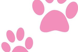 Нарисованная лапка