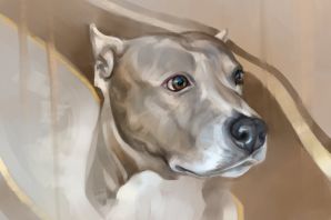 Голова собаки рисунок