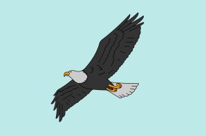 Орлята рисунок