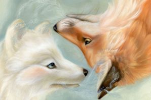 Лиса и волк рисунок