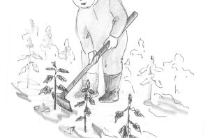 Лесник рисунок