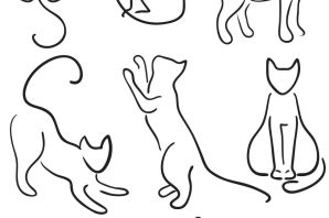 Тень кота рисунок