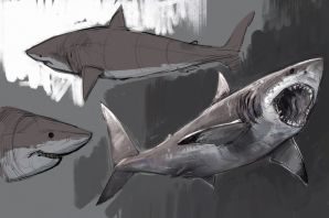 Акула скетч