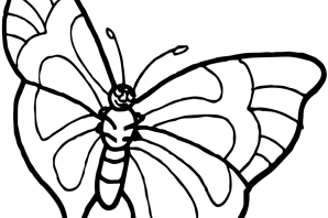 Раскраска симбочка