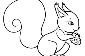 Белка трафарет