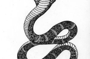 Змея с короной эскиз