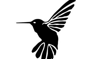 Трафарет колибри