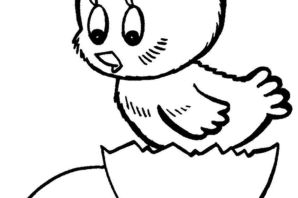 Цыпленок раскраска