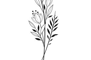 Ветка эскиз