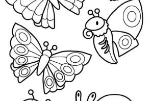 Насекомые раскраска