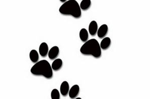 Лапки трафарет