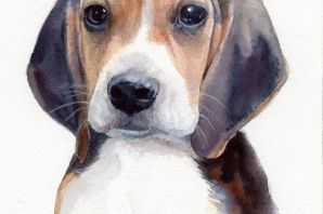 Рисунок бигля