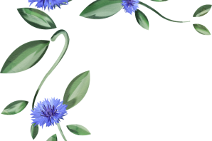 Васильки рисунки