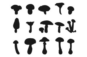 Гриб трафарет