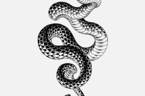 Змея эскиз графика