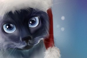 Кот в шапке рисунок