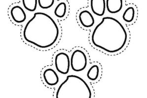 Следы раскраска