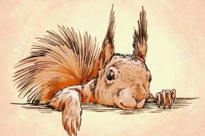 Белка для срисовки