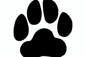 Лапки эскиз