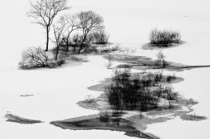 Пейзаж тушью