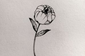Роза эскиз минимализм