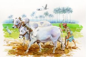 Земледелие рисунок