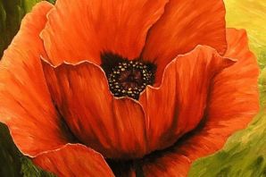 Мак цветок рисунок