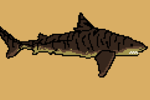 Акула по клеточкам