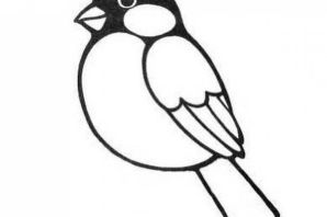 Снегирь шаблон