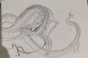Змея нарисованная карандашом