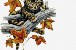 Кошка осень рисунок