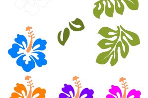 Гавайские цветы рисунок