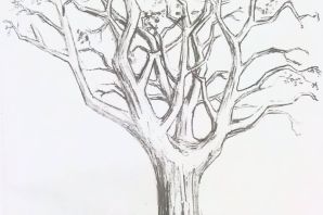 Дерево рисунки карандашом
