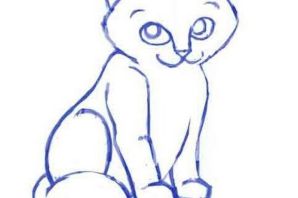 Легкие рисунки для срисовки кошки