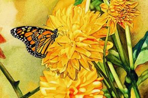 Рисунок бабочка на цветке
