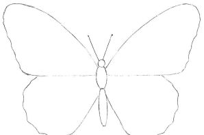 Пошагово бабочка рисунок