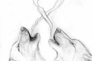 Рисунок волка карандашом простой