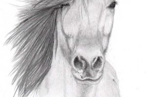 Нарисованная лошадка