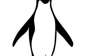 Императорский пингвин раскраска
