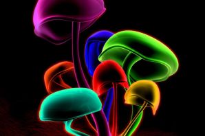 Разноцветный гриб рисунок