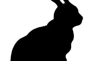 Рисунок черный заяц
