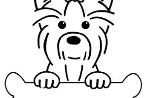 Йоркширский терьер собака раскраска