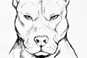 Рисунок злая собака карандашом