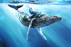 Горбатый кит рисунок