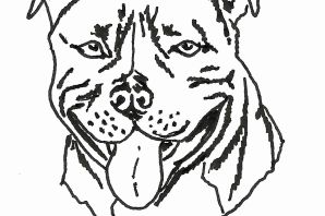 Раскраска собака алабай