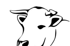 Рисунки коровы