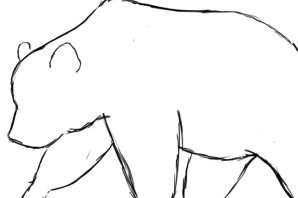 Медведь рисунок карандашом легкий