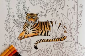 Тигр раскраски
